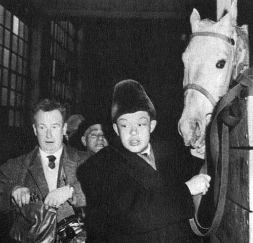 Кони в океане - i_009.jpg