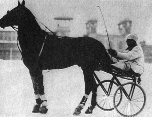 Кони в океане - i_027.jpg