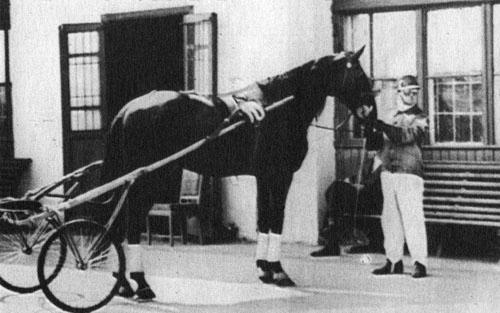 Кони в океане - i_029.jpg