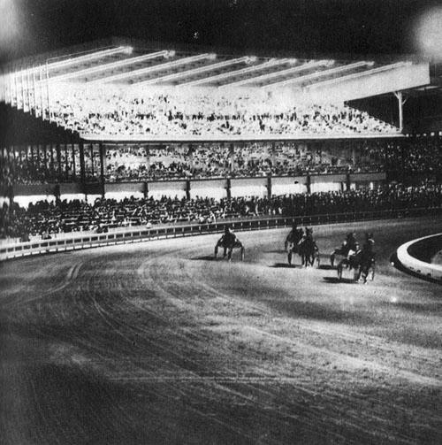 Кони в океане - i_033.jpg