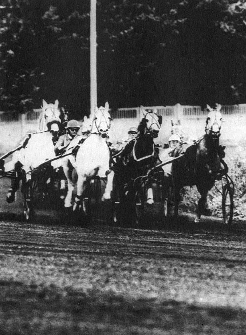 Кони в океане - i_034.jpg