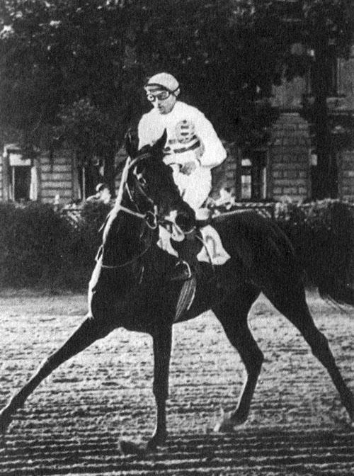 Кони в океане - i_035.jpg