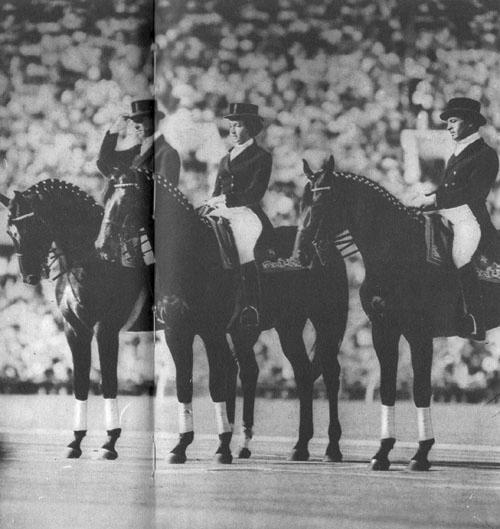 Кони в океане - i_040.jpg