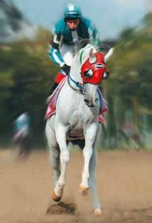 На благо лошадей. Очерки иппические - _10.jpg