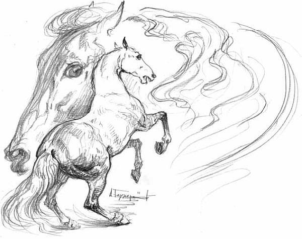 На благо лошадей. Очерки иппические - _20.jpg