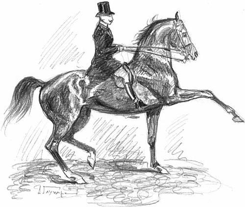 На благо лошадей. Очерки иппические - _21.jpg