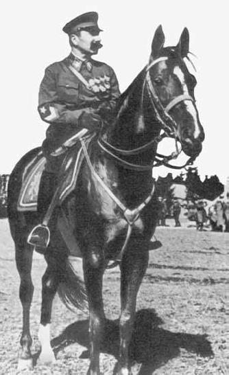 На благо лошадей. Очерки иппические - _22.jpg