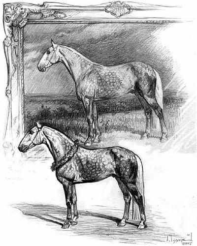 На благо лошадей. Очерки иппические - _40.jpg