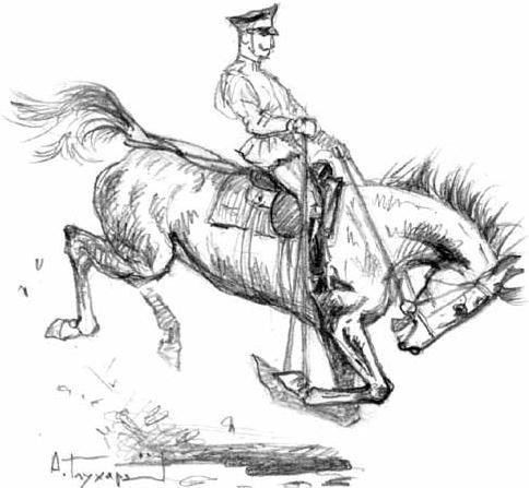 На благо лошадей. Очерки иппические - _49.jpg