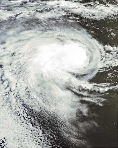 Принцип апокалипсиса: сценарии конца света - i_001.jpg