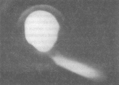 Тесла и сверхсекретные проекты Пентагона - img8D80.jpg