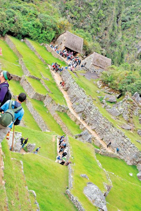 Черная кукуруза. Революционный продукт от всех болезней - _01.jpg