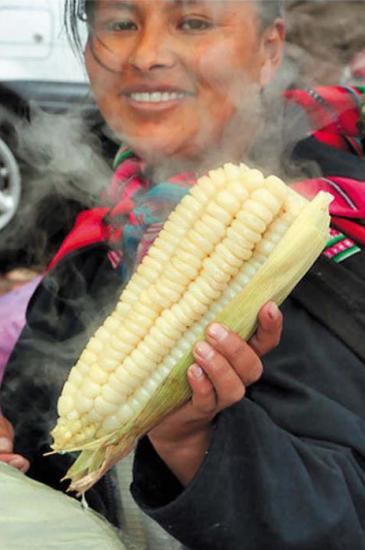 Черная кукуруза. Революционный продукт от всех болезней - _06_2.jpg