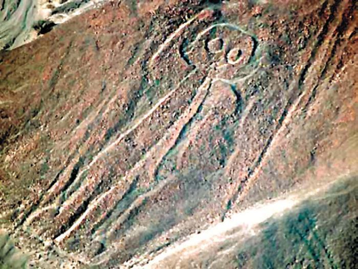 Черная кукуруза. Революционный продукт от всех болезней - _18.jpg