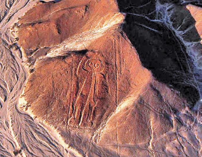 Черная кукуруза. Революционный продукт от всех болезней - _19.jpg