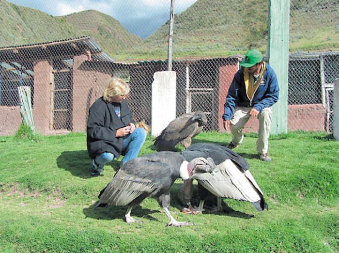 Черная кукуруза. Революционный продукт от всех болезней - _23.jpg