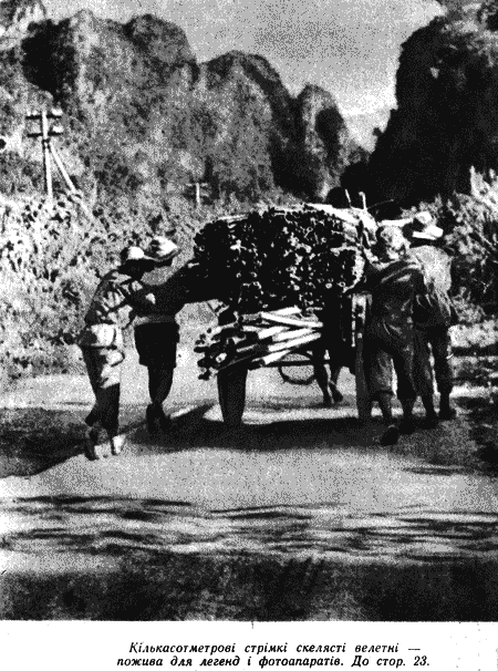 Дикі банани - i_006.png