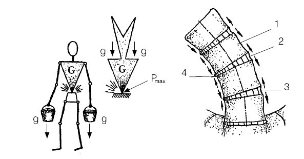 Остеохондроз. Комплекс лечебной биомеханической гимнастики - i_003.jpg
