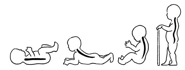 Остеохондроз. Комплекс лечебной биомеханической гимнастики - i_005.jpg