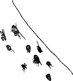 Волшебный мелок - i_091.png