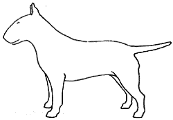 Все о бультерьерах - i_006.png