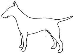 Все о бультерьерах - i_007.png