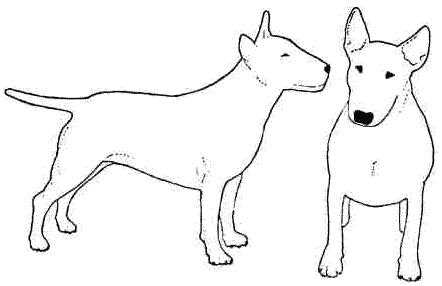 Все о бультерьерах - i_012.png