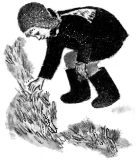 Друзья мои мальчишки - i_028.jpg