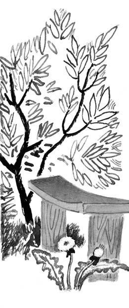 Улица Зелёная - i_001.jpg