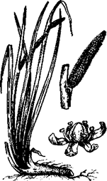 33 Рецепта для мужчин - pic_2.png