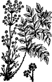 33 Рецепта для мужчин - pic_3.png