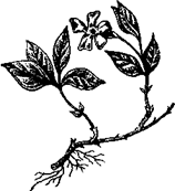 33 Рецепта для мужчин - pic_4.png