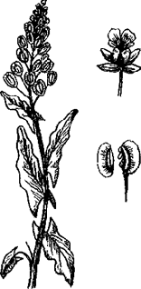 33 Рецепта для мужчин - pic_22.png