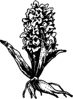 33 Рецепта для мужчин - pic_25.png