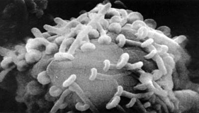 Антимозг: цифровые технологии и мозг - _18.jpg