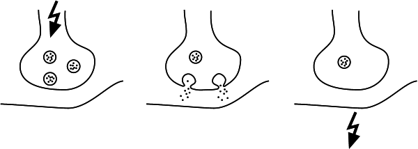 Антимозг: цифровые технологии и мозг - _20.png