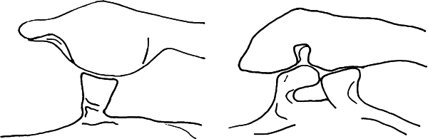 Антимозг: цифровые технологии и мозг - _21.png