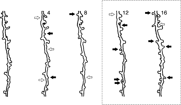 Антимозг: цифровые технологии и мозг - _22.png