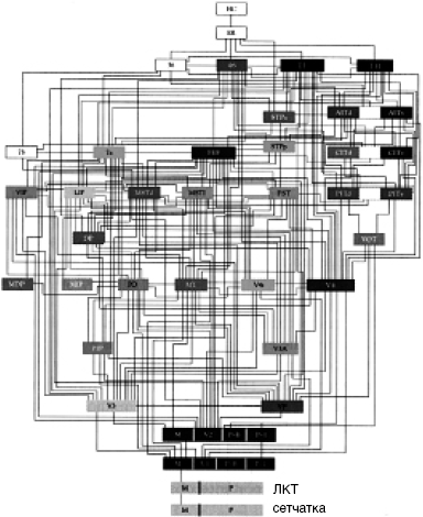 Антимозг: цифровые технологии и мозг - _26.png