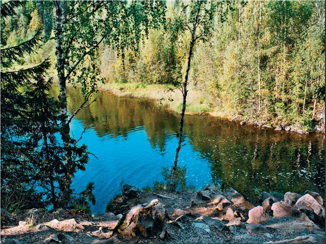 Смотрю и все удается. Уникальная методика приманивания удачи - i_002.jpg