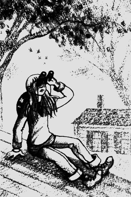 Пендервики на улице Гардем - img14.png