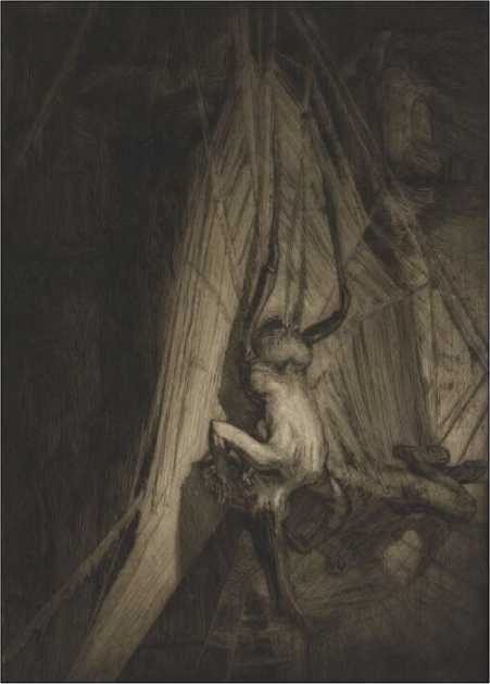 Арахна<br />(Рассказы о пауках. Том I) - i_003.jpg