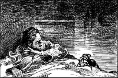 Арахна<br />(Рассказы о пауках. Том I) - i_010.jpg