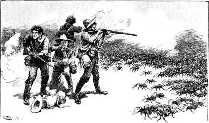 Арахна<br />(Рассказы о пауках. Том I) - i_022.jpg