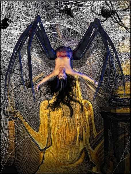 Арахна<br />(Рассказы о пауках. Том I) - i_032.jpg