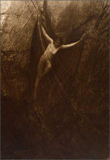 Арахна<br />(Рассказы о пауках. Том II) - i_003.jpg