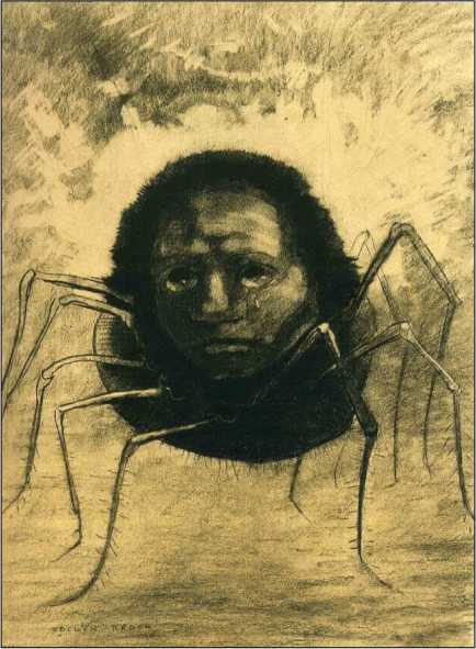 Арахна<br />(Рассказы о пауках. Том II) - i_016.jpg