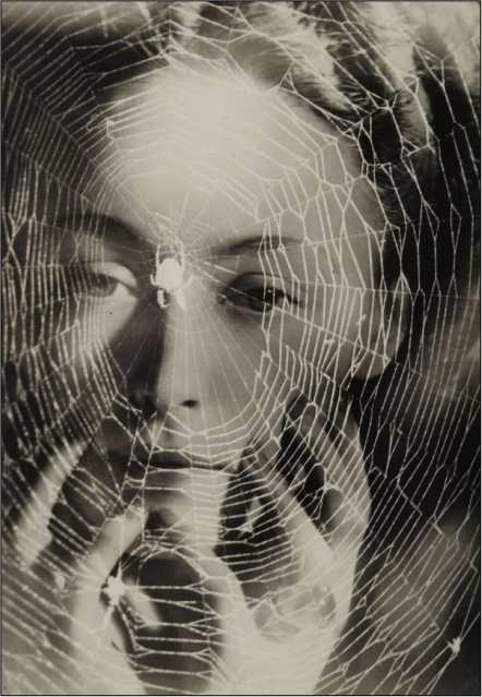 Арахна<br />(Рассказы о пауках. Том II) - i_020.jpg