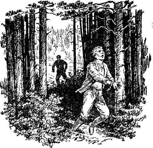 Капитан идет по следу - img_10.jpeg