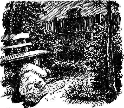 Капитан идет по следу - img_41.jpeg